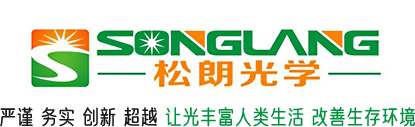 岳陽市武星保安服務有限公司